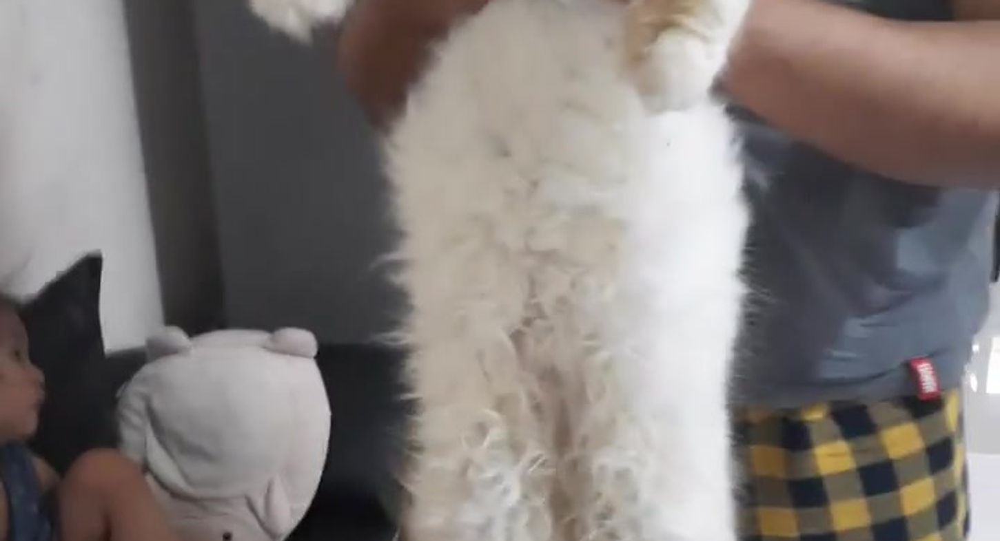 Bam